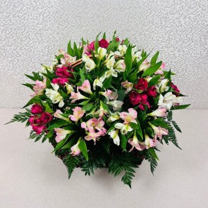 Роскошные альстромерии в корзине